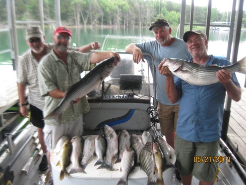 Nice Striped Bass